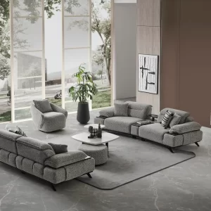 Ashley Koltuk Piyon (ara modül)