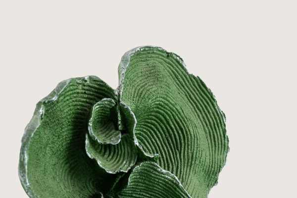 8B3A5156